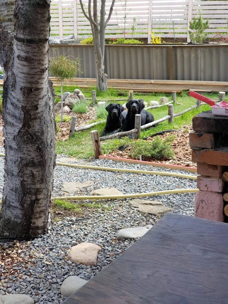 Чайная беседка