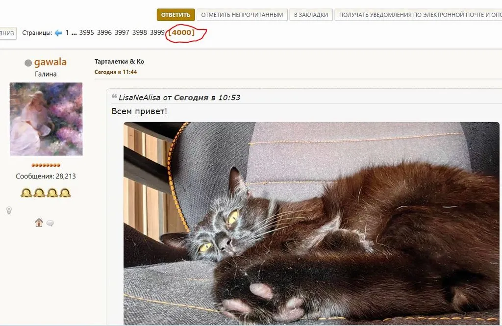 Tapтaлeтки & Ко