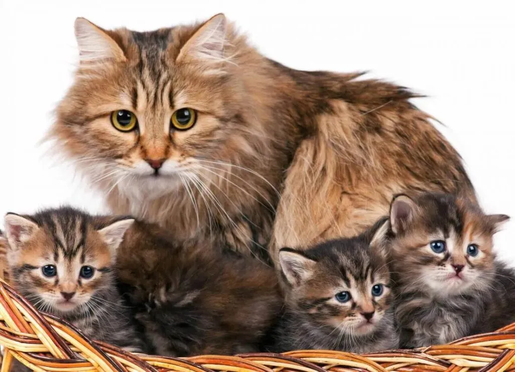 Рассказы для души