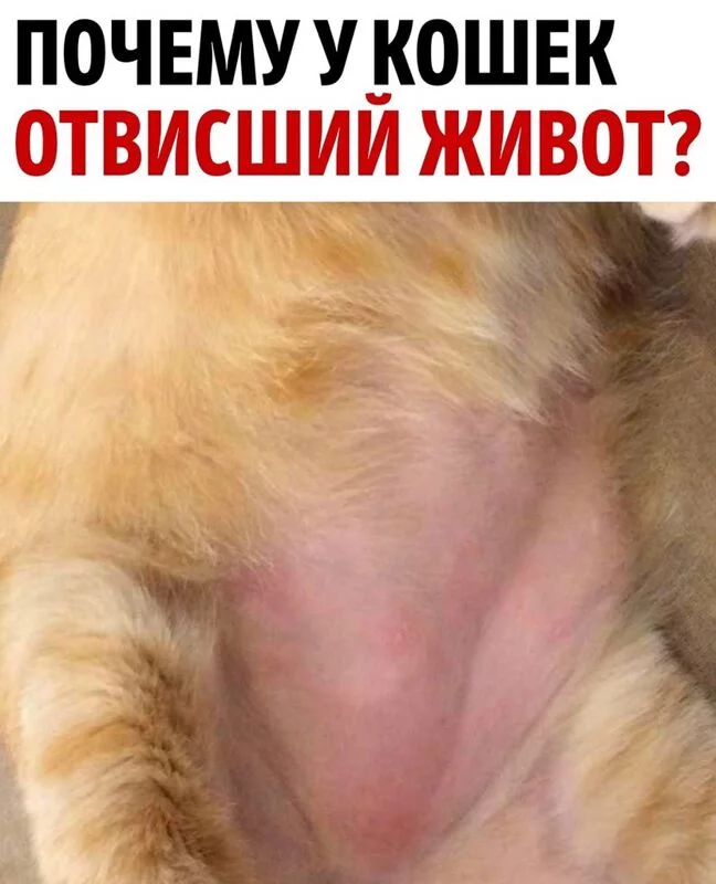 Это интересно!