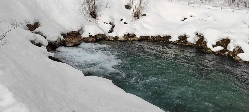 Tapтaлeтки & Ко