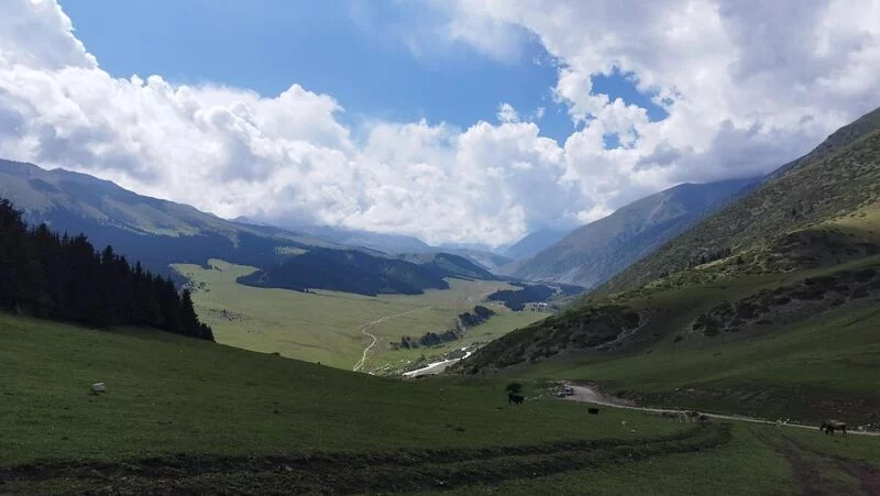 Чайная беседка