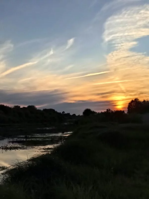 Такое разное небо