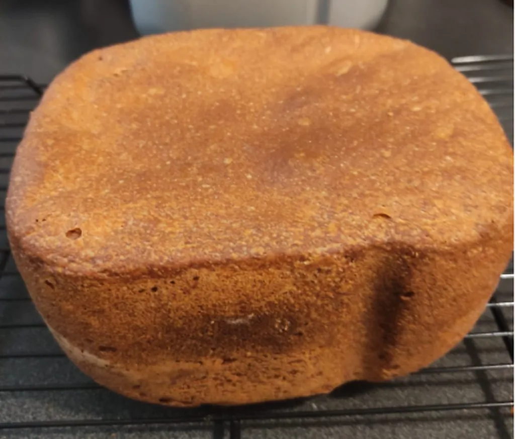 Panasonic SD 2501. Хлебушек из гречневой муки