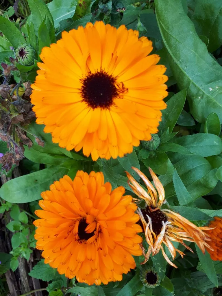 Фотонастроение