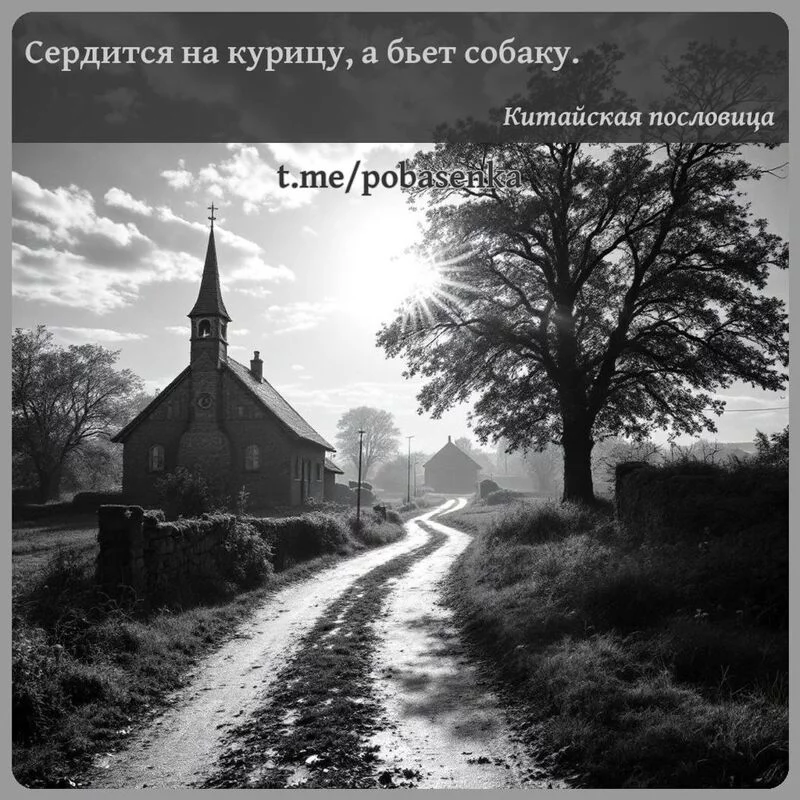 «Сердится на курицу, а бьет...» height="550" width="550"