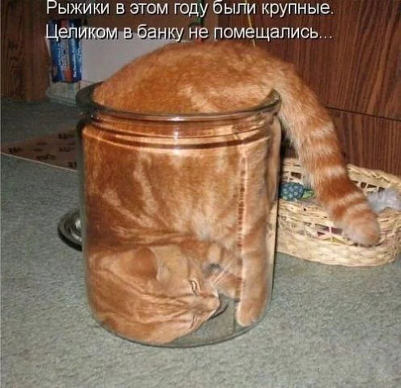 Посмеялся сам - поделись с другом!!!