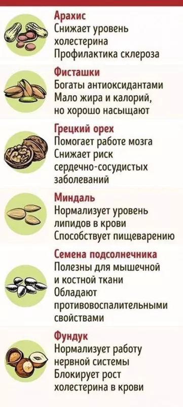 Медицинская инфографика