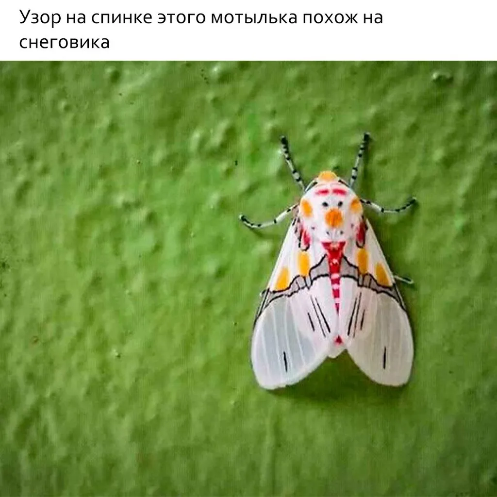Это интересно!