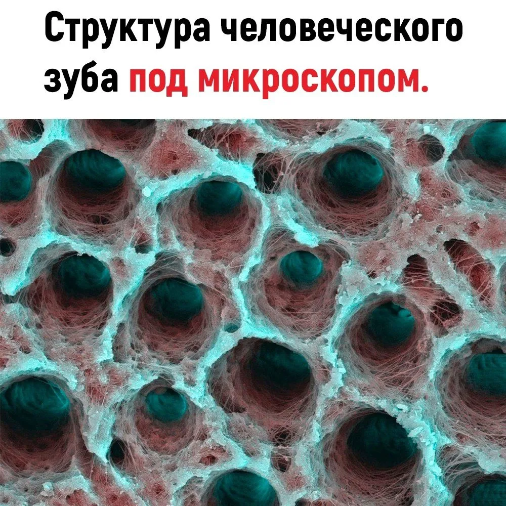 Это интересно!