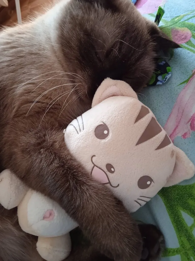Кошичкина полиция