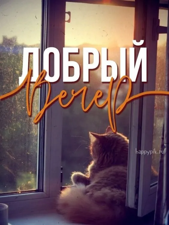 Tapтaлeтки & Ко