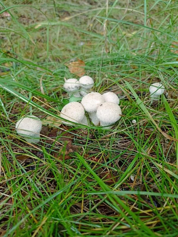 Фотонастроение