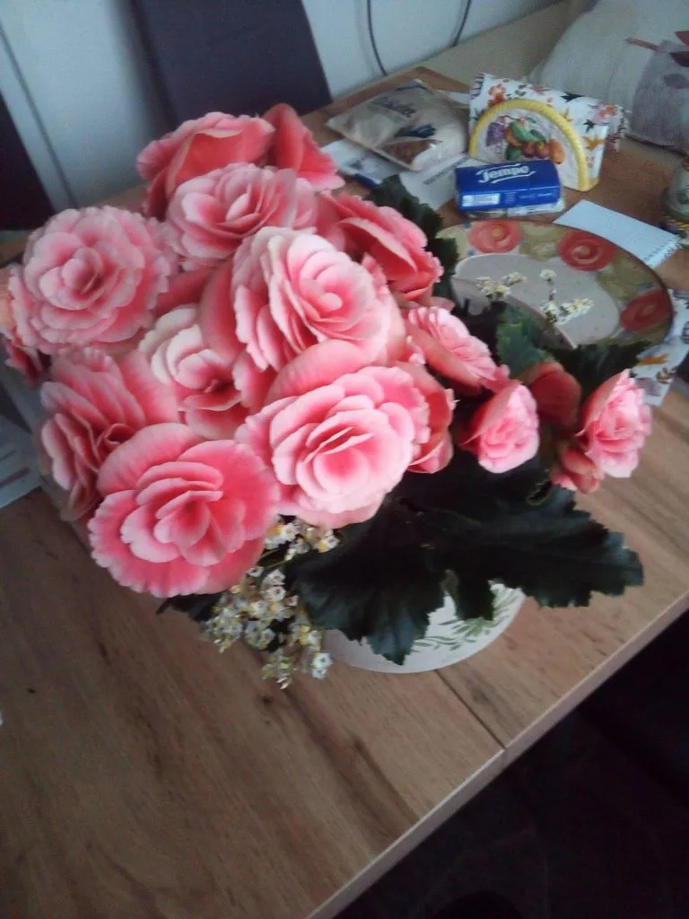 Чайная беседка