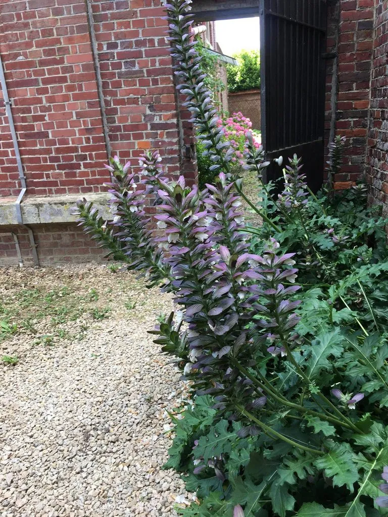 Чайная беседка