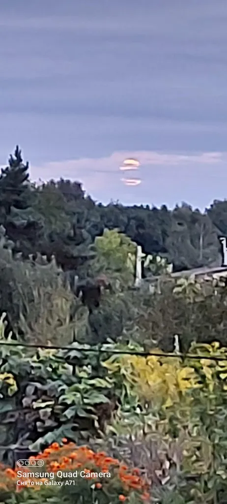 Чайная беседка