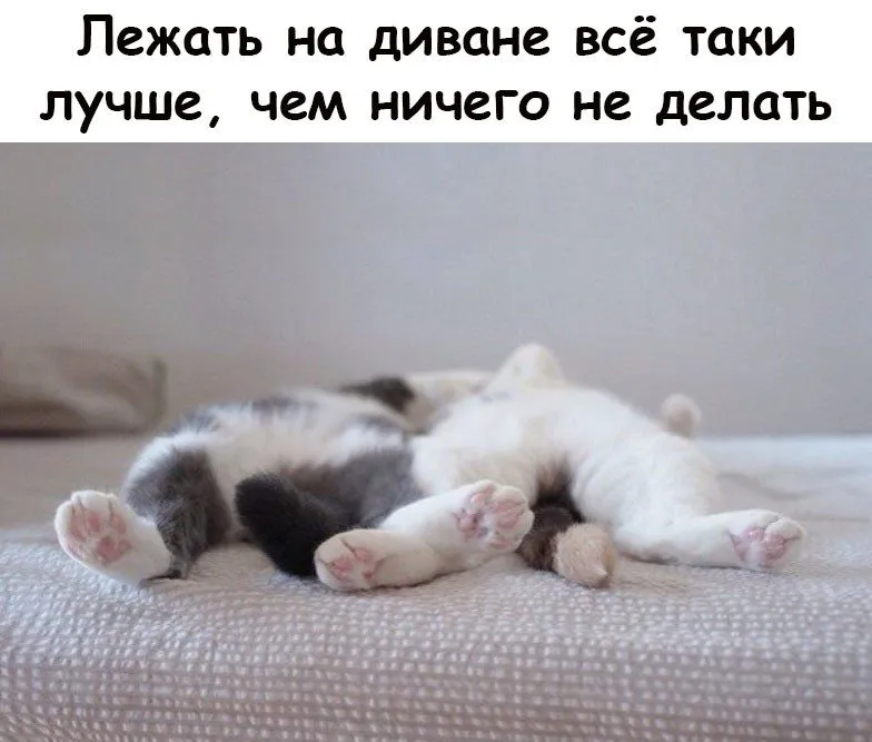 Посмеялся сам - поделись с другом!!!