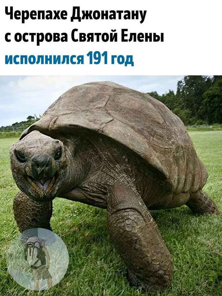 Это интересно!
