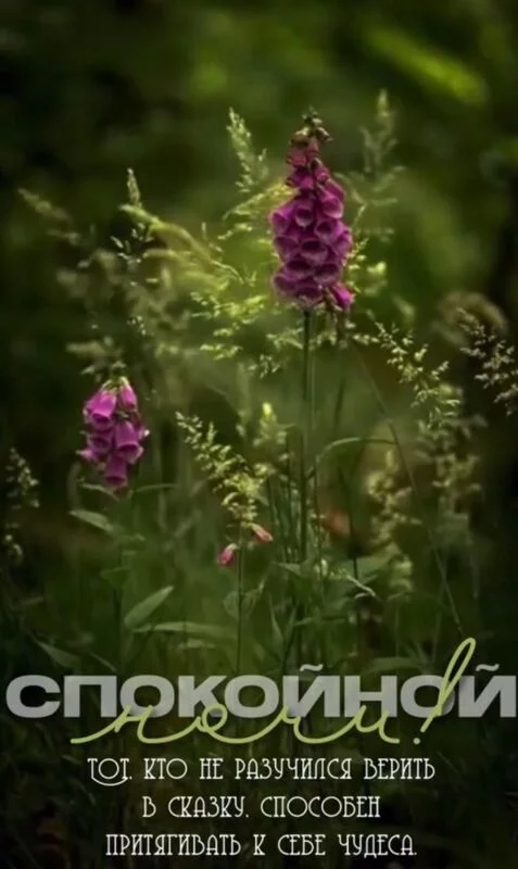 Позитивчик (фото, видео, рассказы для хорошего настроения)