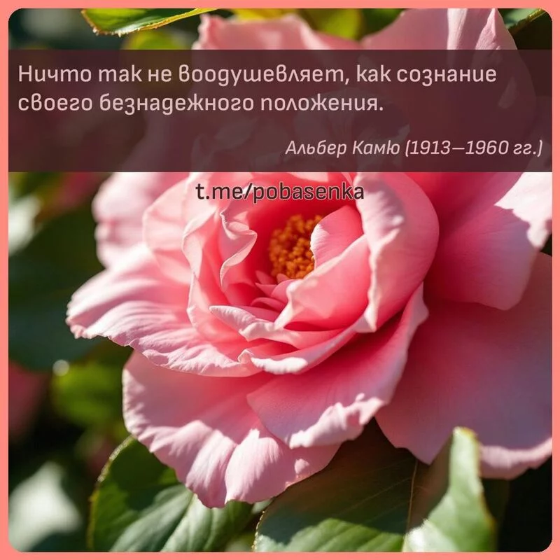 «Ничто так не воодушевляет, как сознание своего безнадежного...» height="550" width="550"