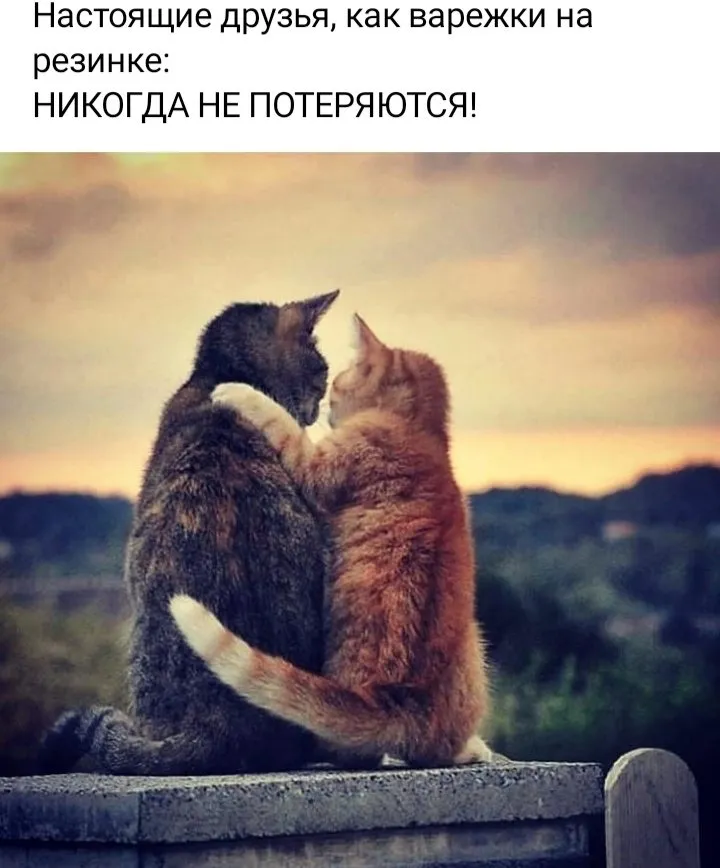 Кафе «У пани Сони»