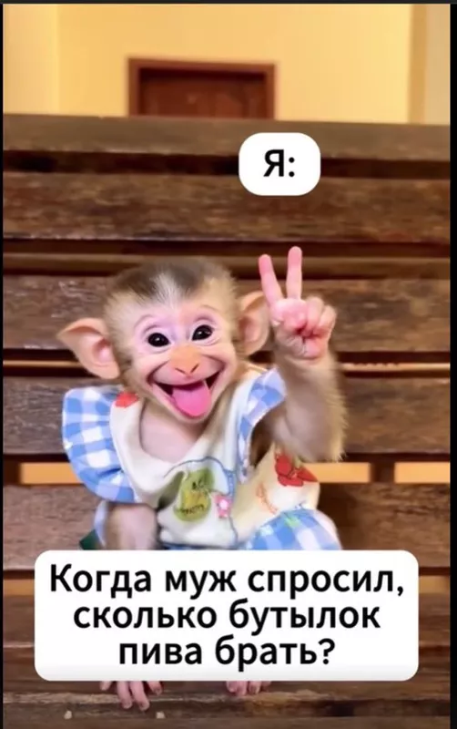 Позитивчик (фото, видео, рассказы для хорошего настроения)