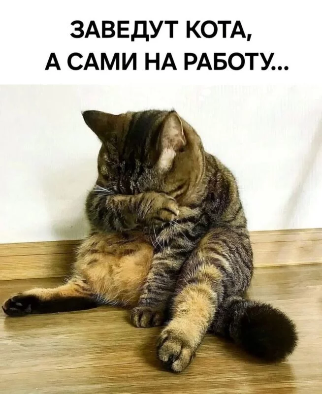 Посмеялся сам - поделись с другом!!!