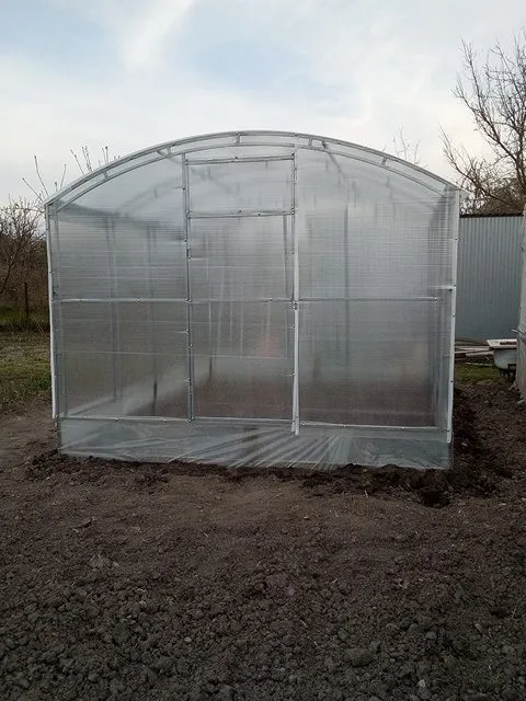 Пора выращивать рассаду