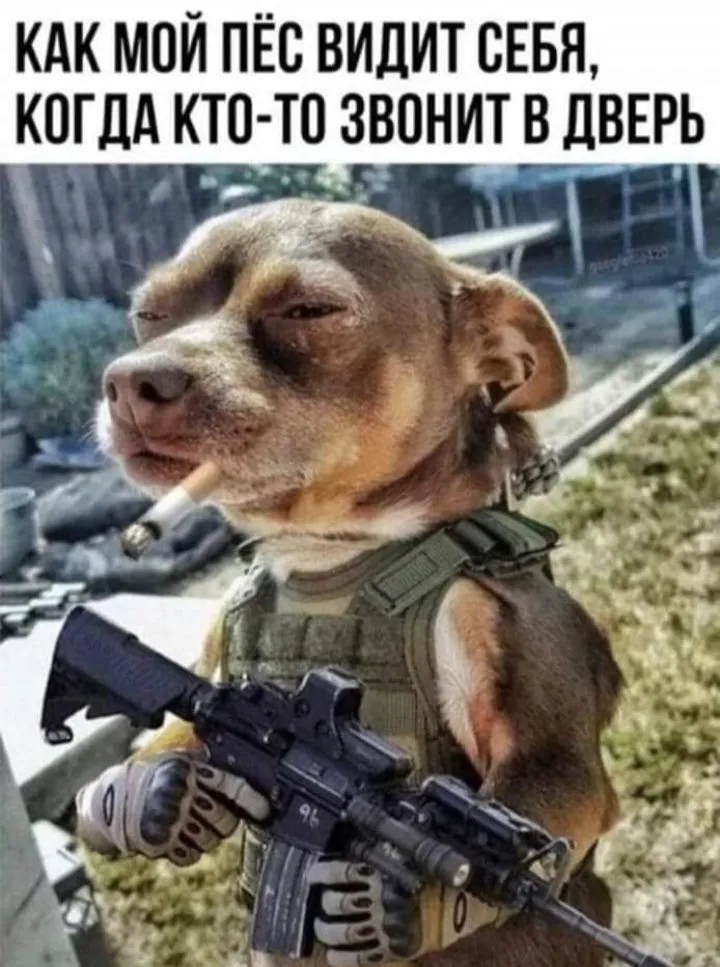 Посмеялся сам - поделись с другом!!!