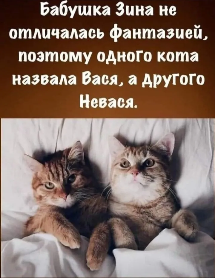 Посмеялся сам - поделись с другом!!!