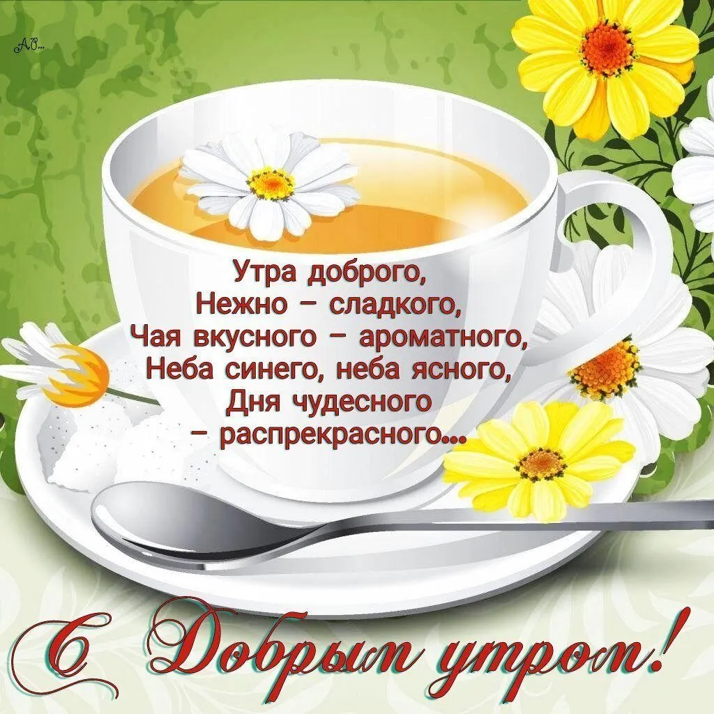 Tapтaлeтки & Ко
