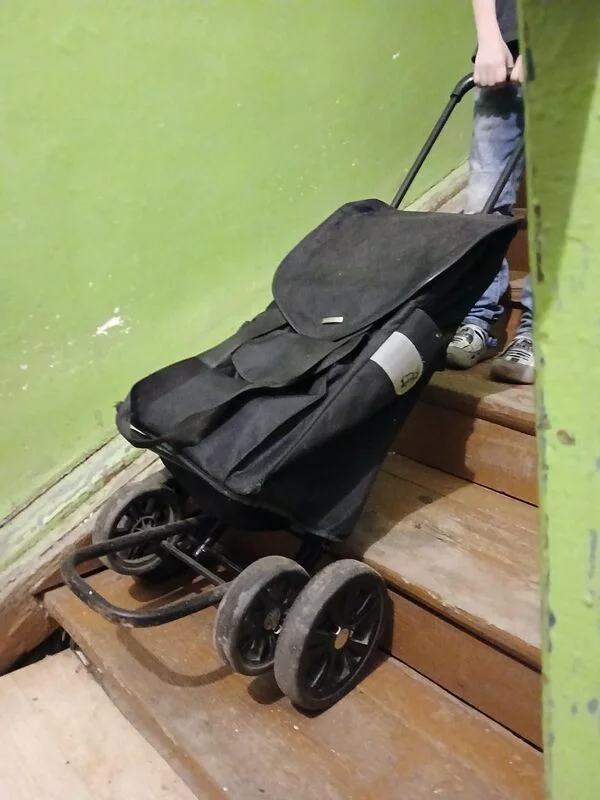 Хозяйственные сумки-тележки