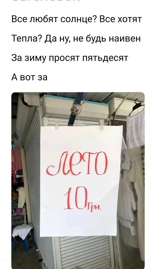 Всюду рифмы