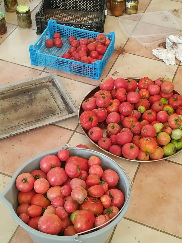 Чайная беседка