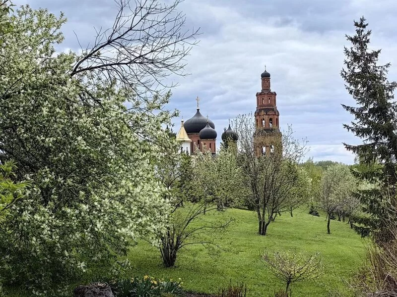 Tapтaлeтки & Ко