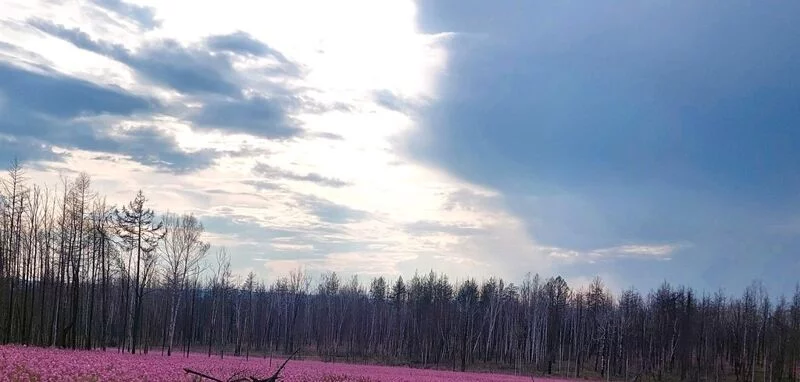 Такое разное небо