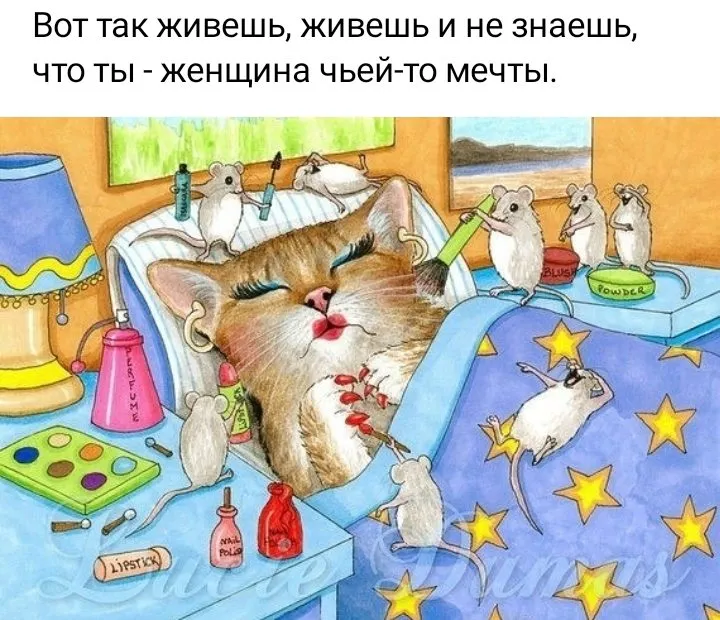 Позитивчик (фото, видео, рассказы для хорошего настроения)