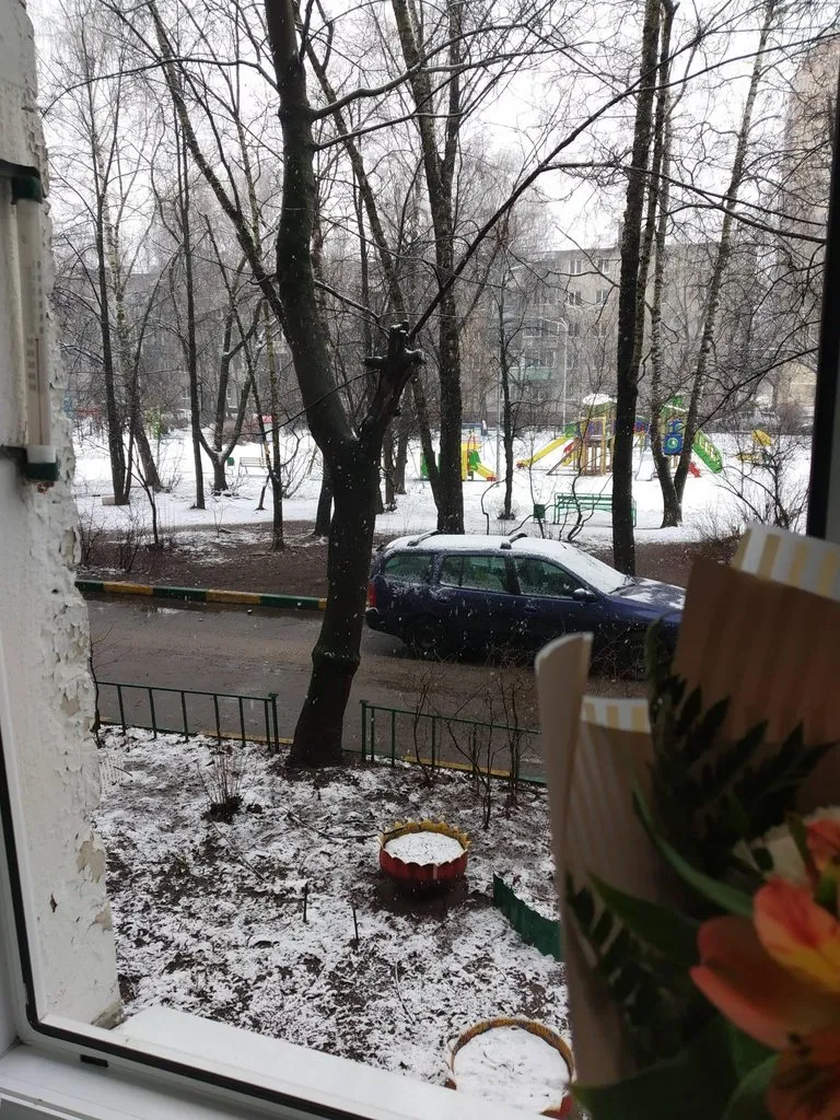 Чайная беседка