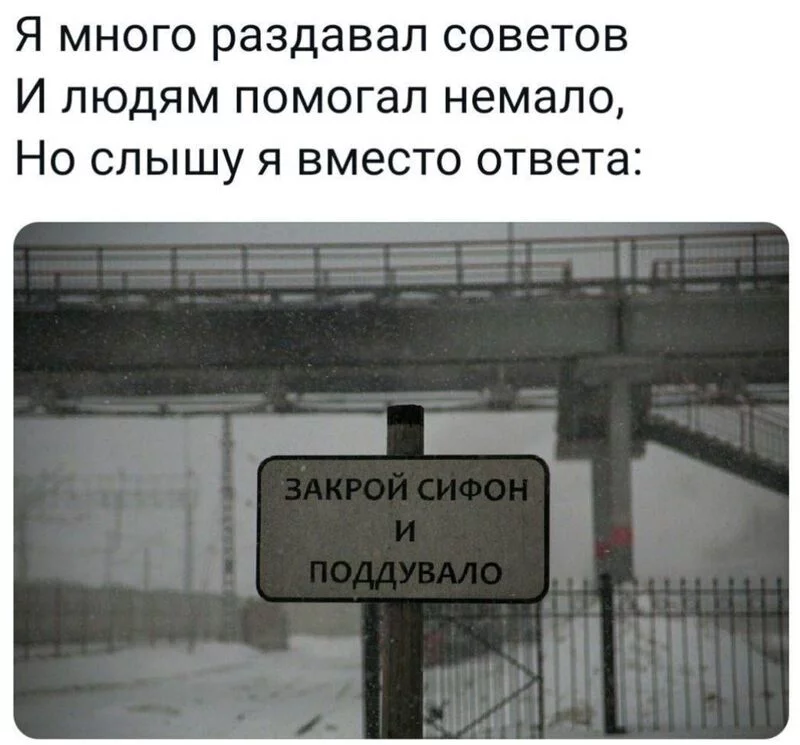 Всюду рифмы