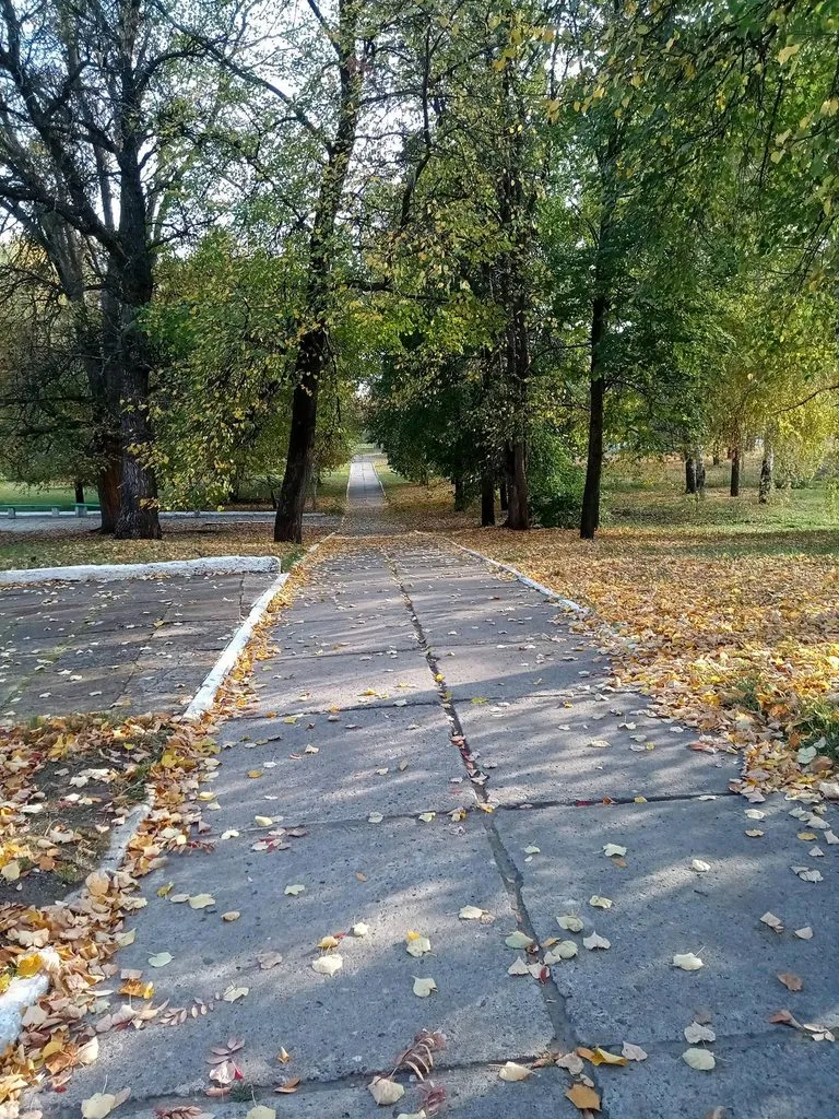 Можно ли прожить на одну пенсию? (расчеты)