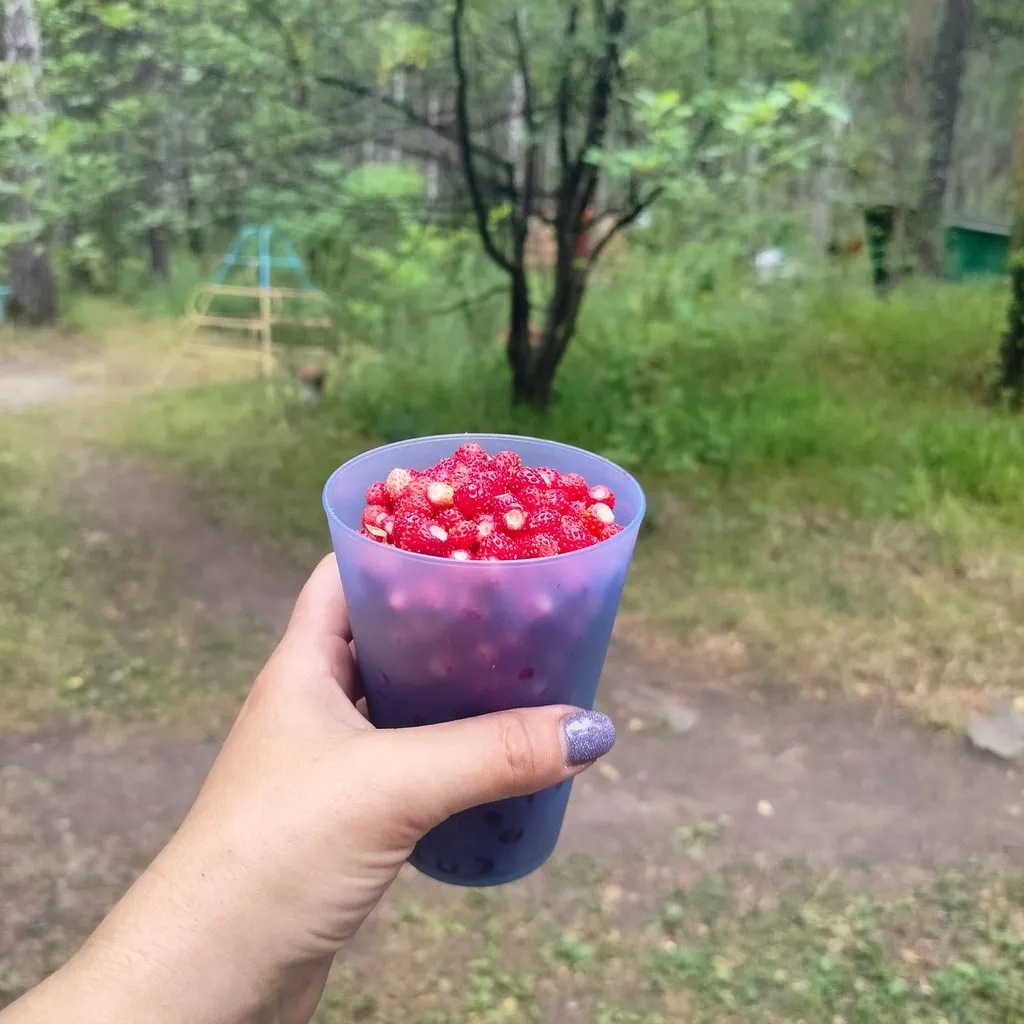 Чайная беседка