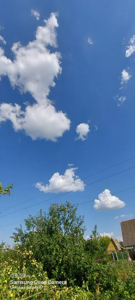 Чайная беседка