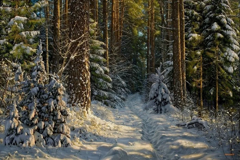 Арт галерея