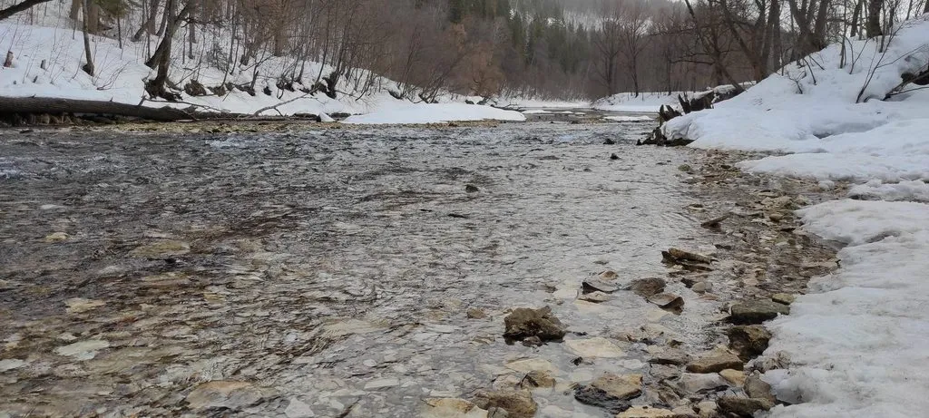 Tapтaлeтки & Ко