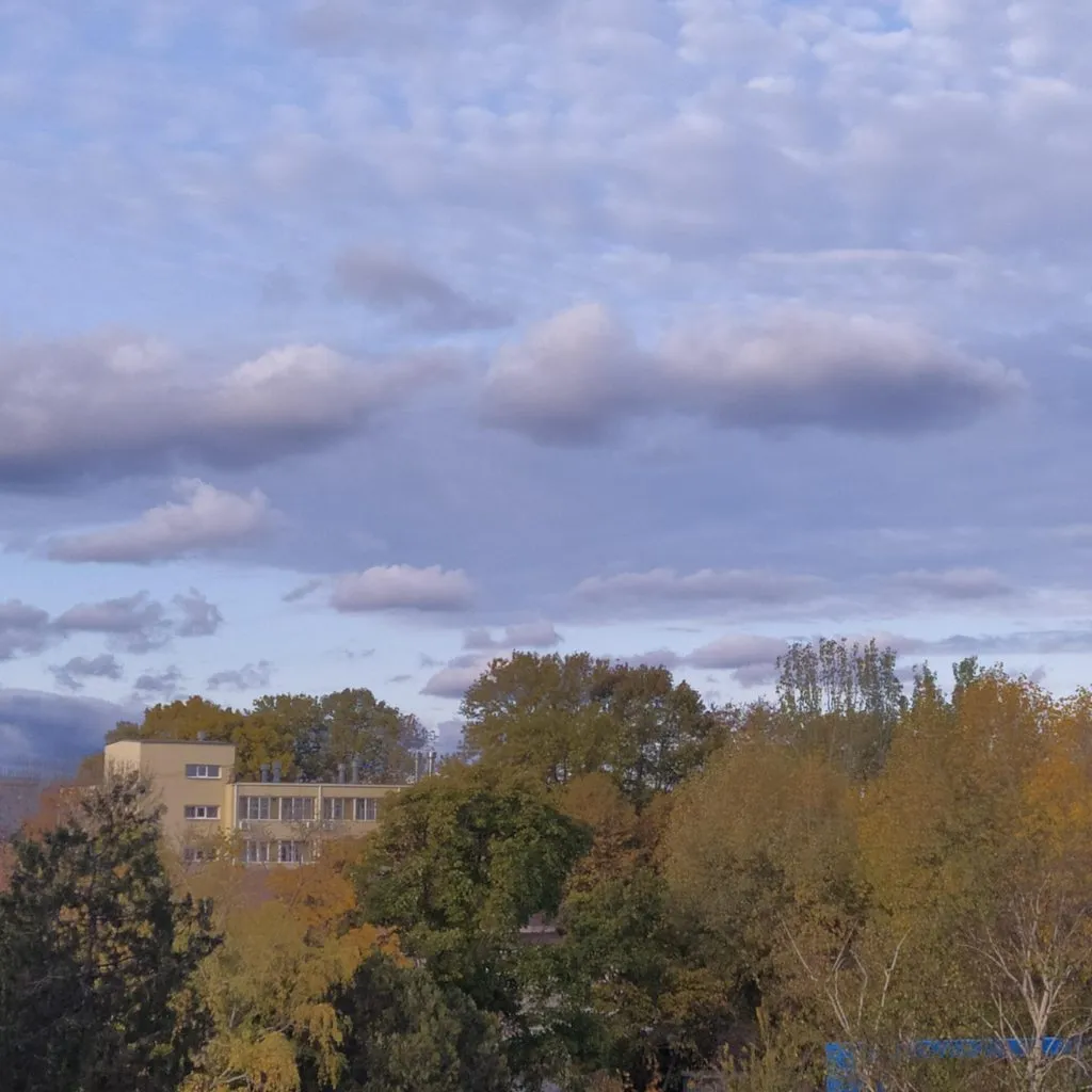 Чайная беседка