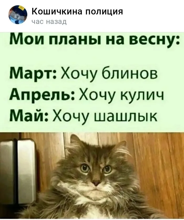 Кошичкина полиция