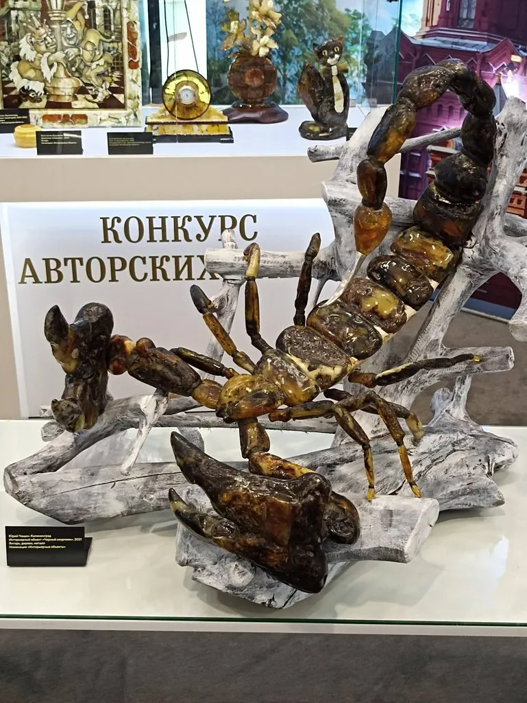 Калининградская область (не только море и янтарь) 