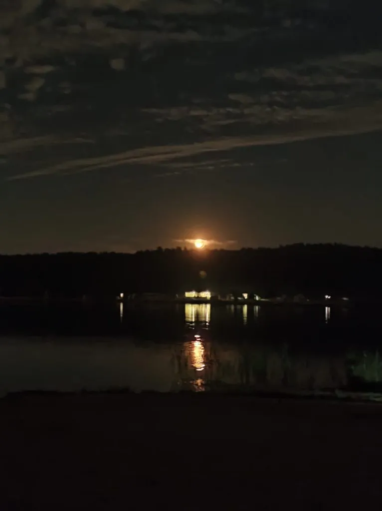 Чайная беседка