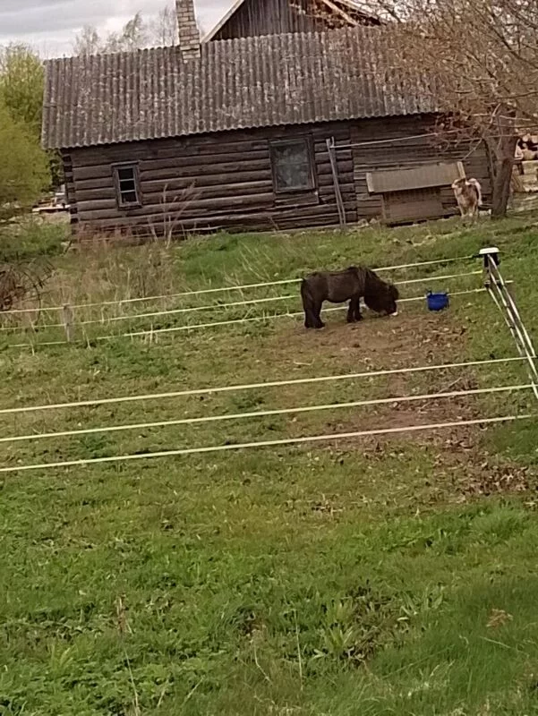Фотонастроение