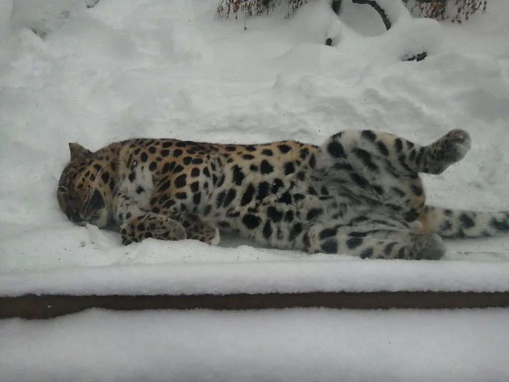 Посмеялся сам - поделись с другом!!!